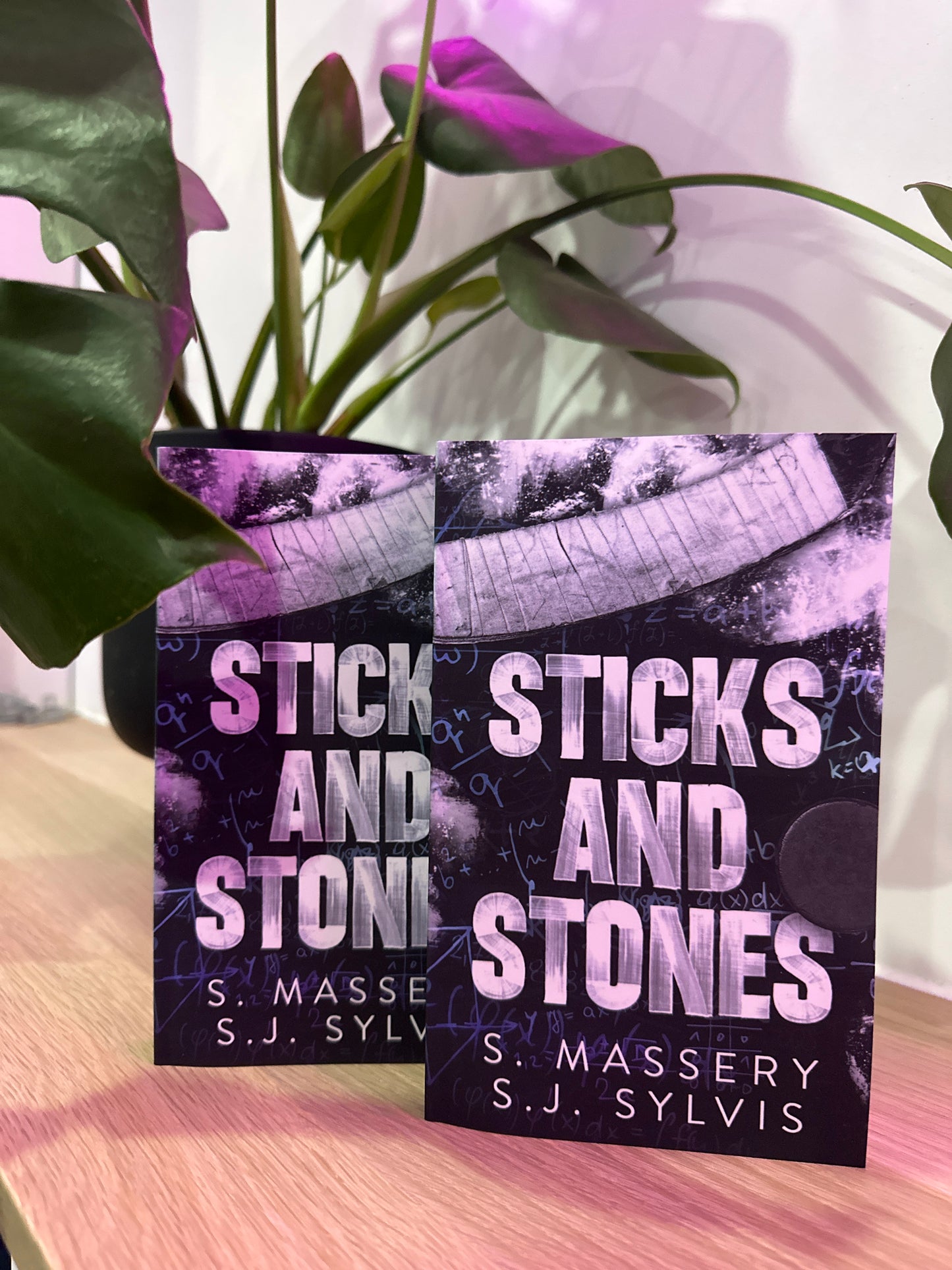 Sticks and Stones or Hesrt of Thorns by S. Massery & S.J. Sylvis