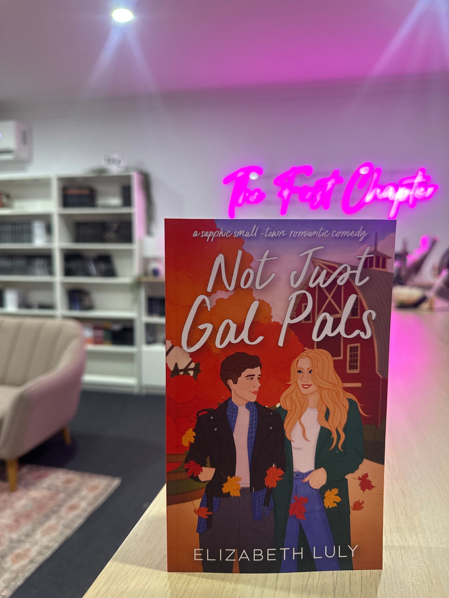 Not just gal pals / Novel Problems by Elizabeth Luly