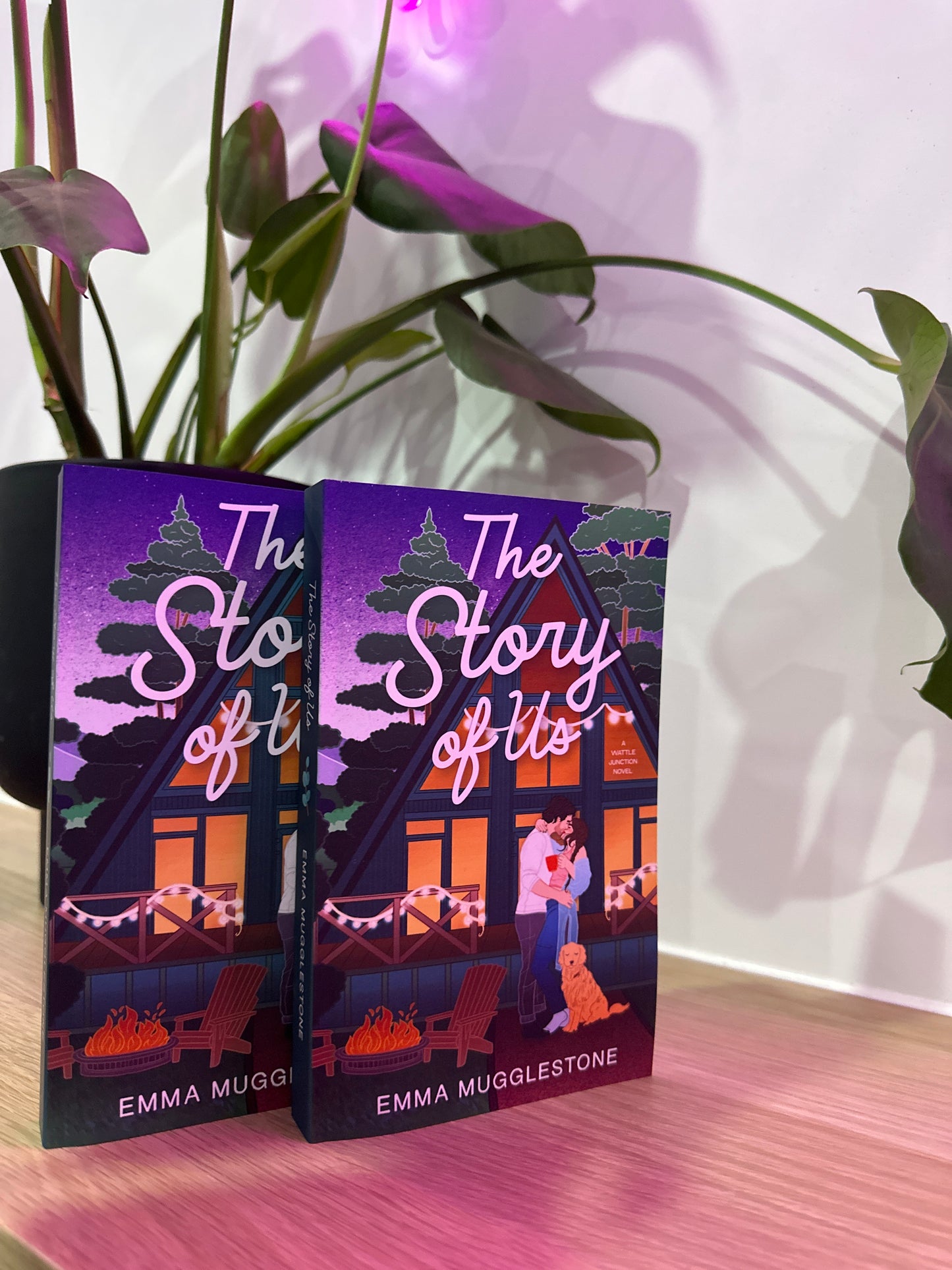 The Reality Of Us / The Story of Us by Emma Mugglestone