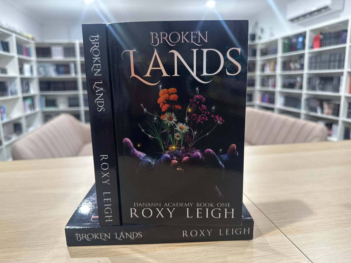 Broken Lands by Roxy Leigh