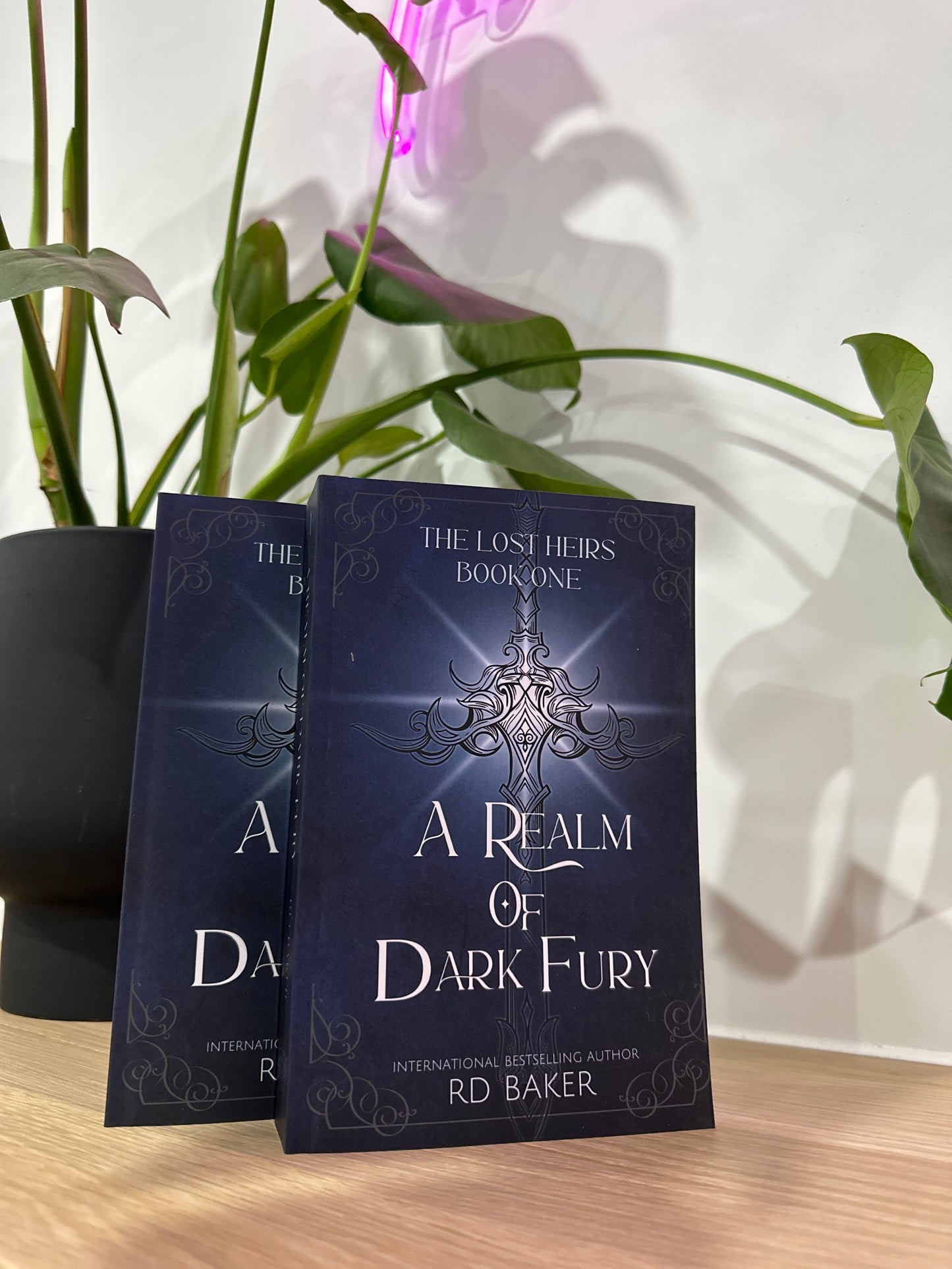 A Realm of Dark Fury by RD Baker