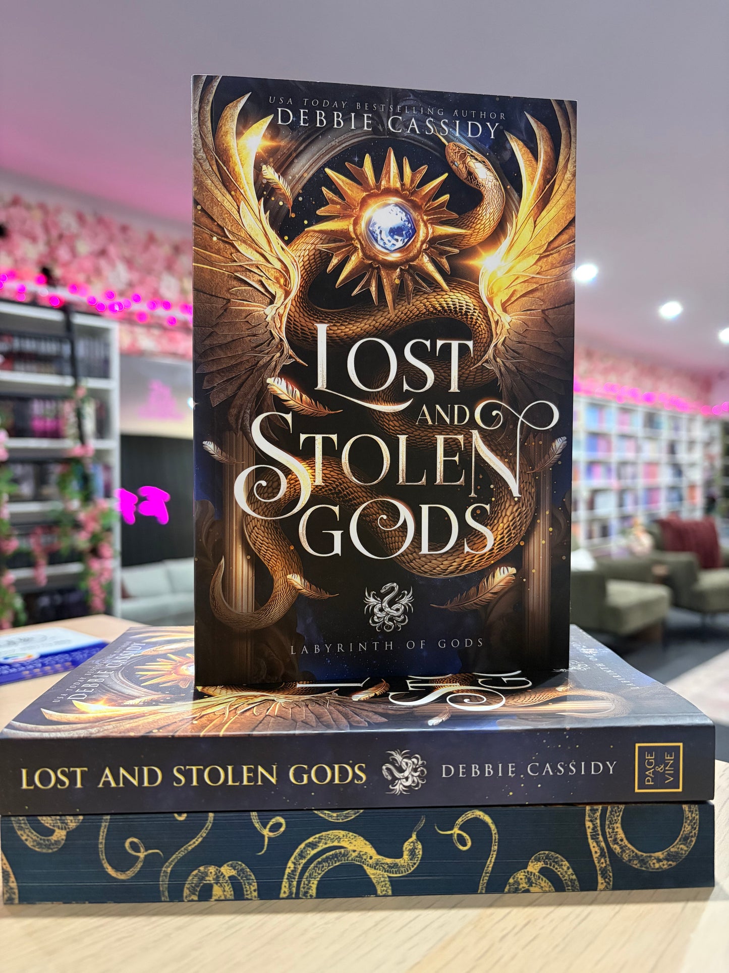 Lost and Stolen Gods by Debbie Cassidy