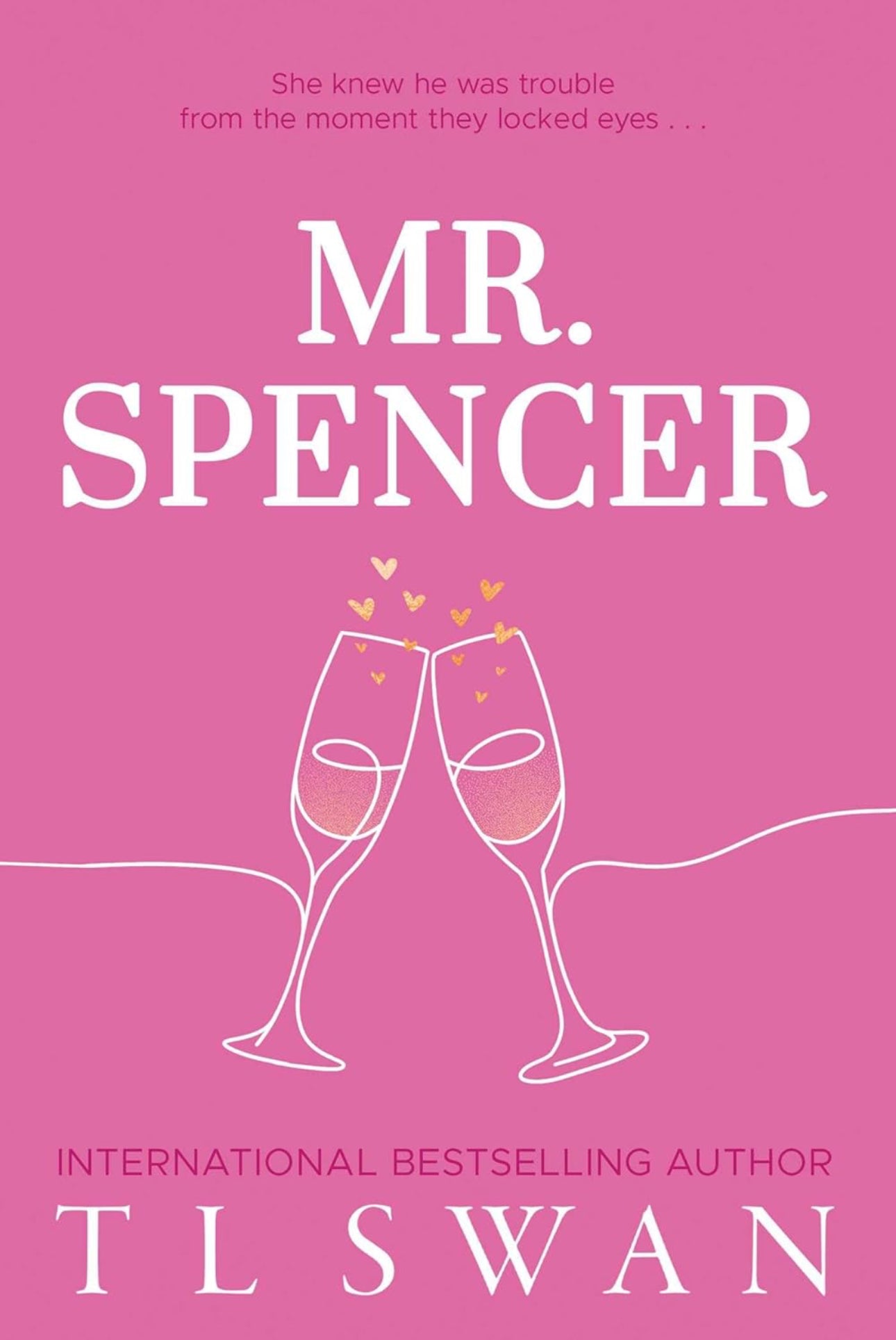 Mr. Series by T L SWAN SIGNED by author