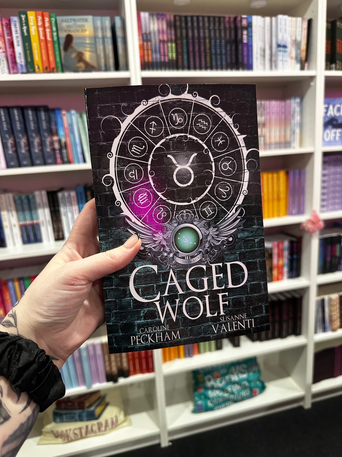 ALT COVERS - Darkmore Penitentiary series by Caroline Peckham and Suzanne Valenti