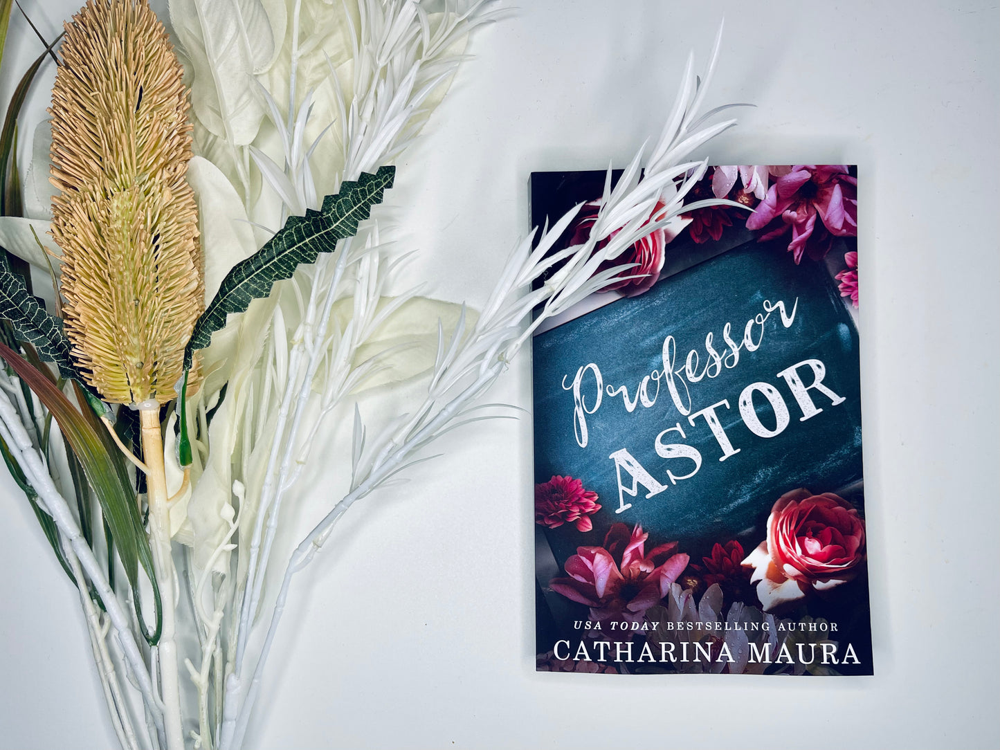 Professor Astor by Catharina Maura