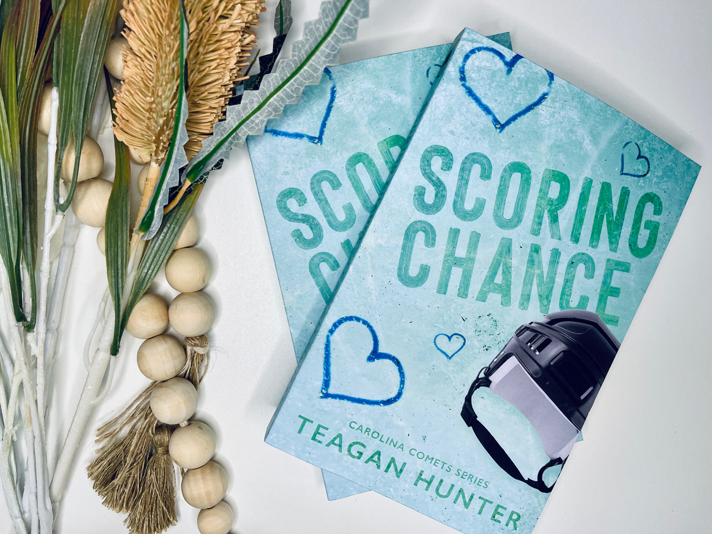 Carolina Comets series by Teagan Hunter