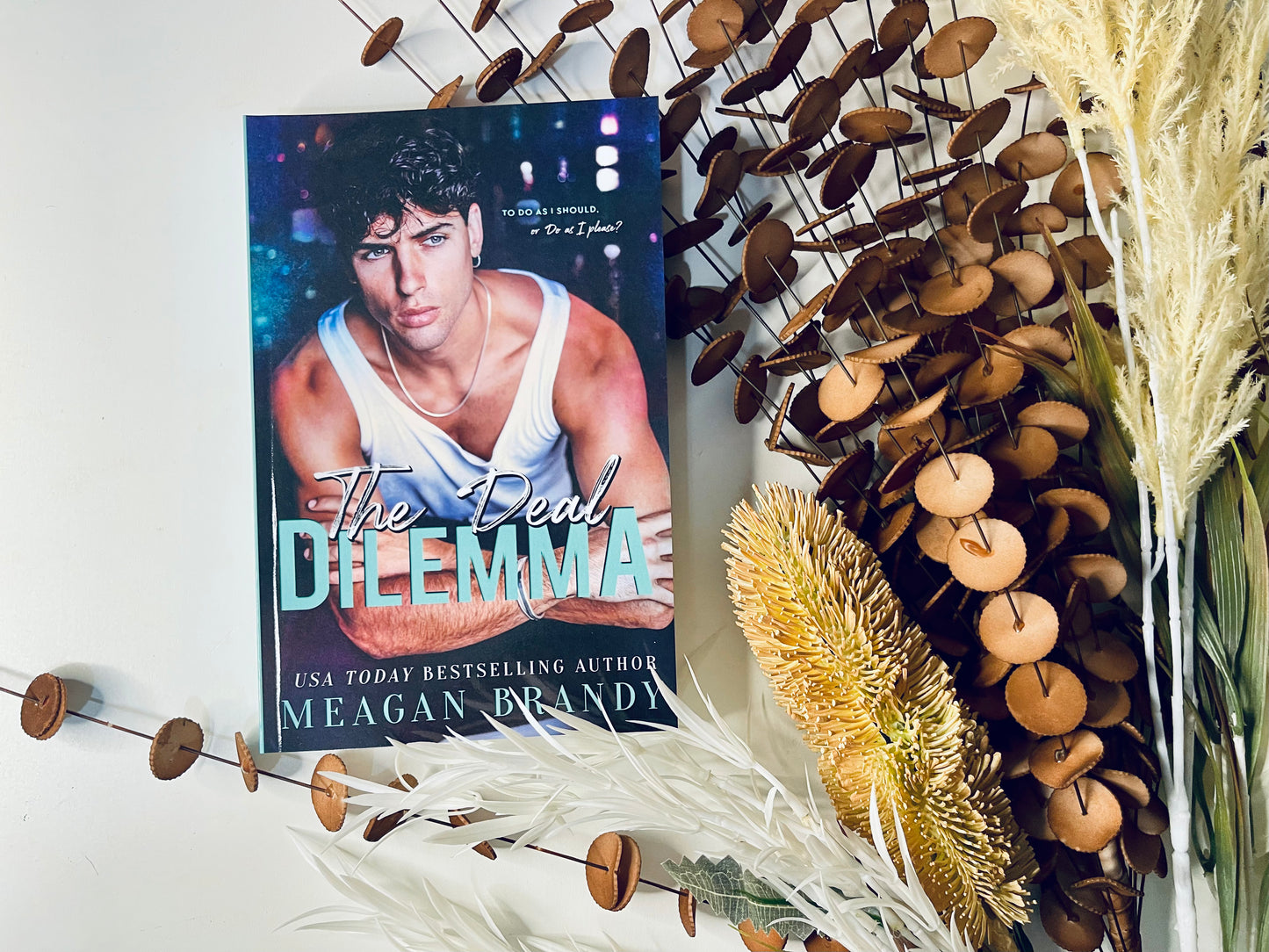 The Deal Dilemma by Meagan Brandy