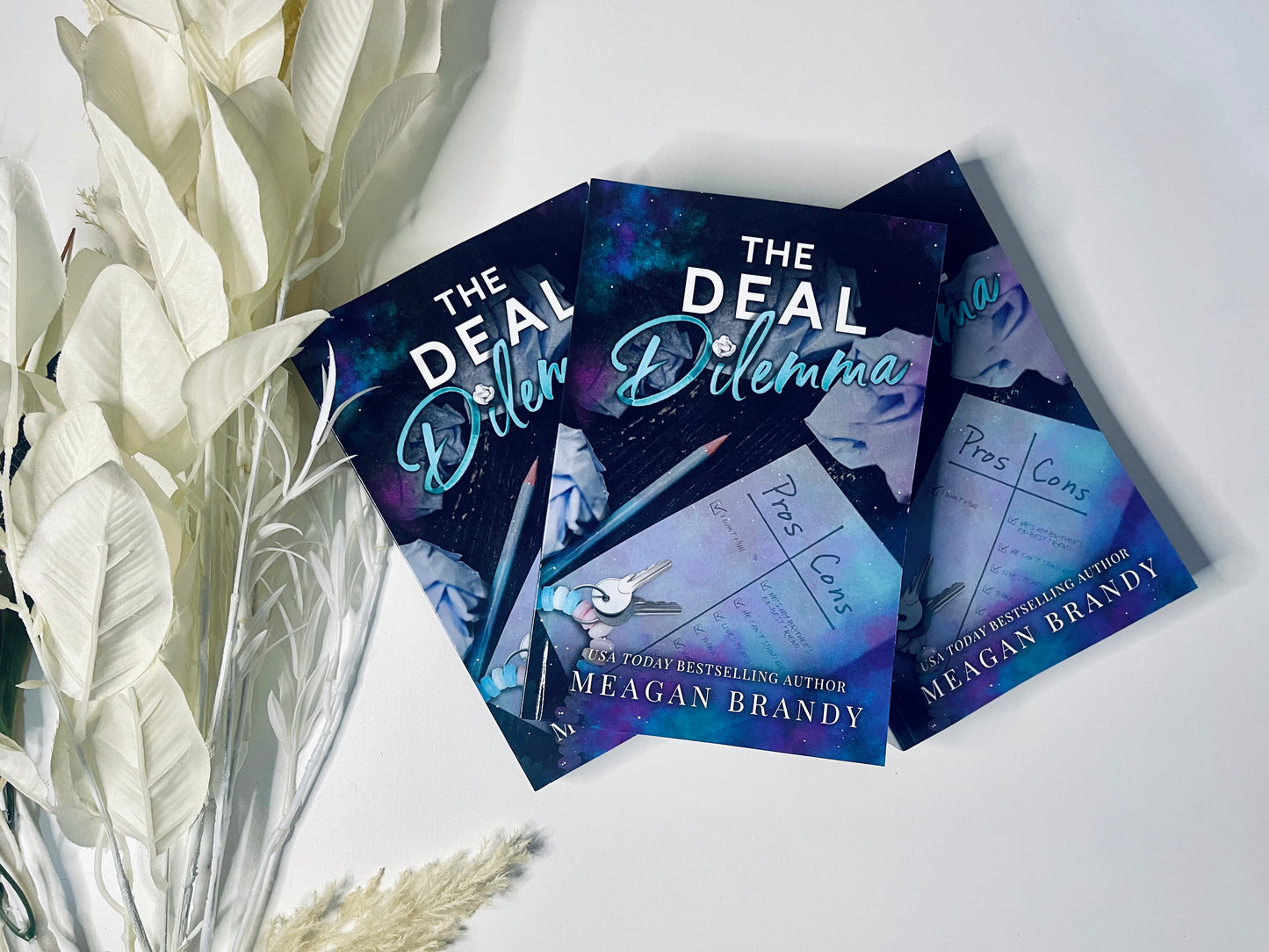 The Deal Dilemma (Alternative Cover) by Meagan Brandy