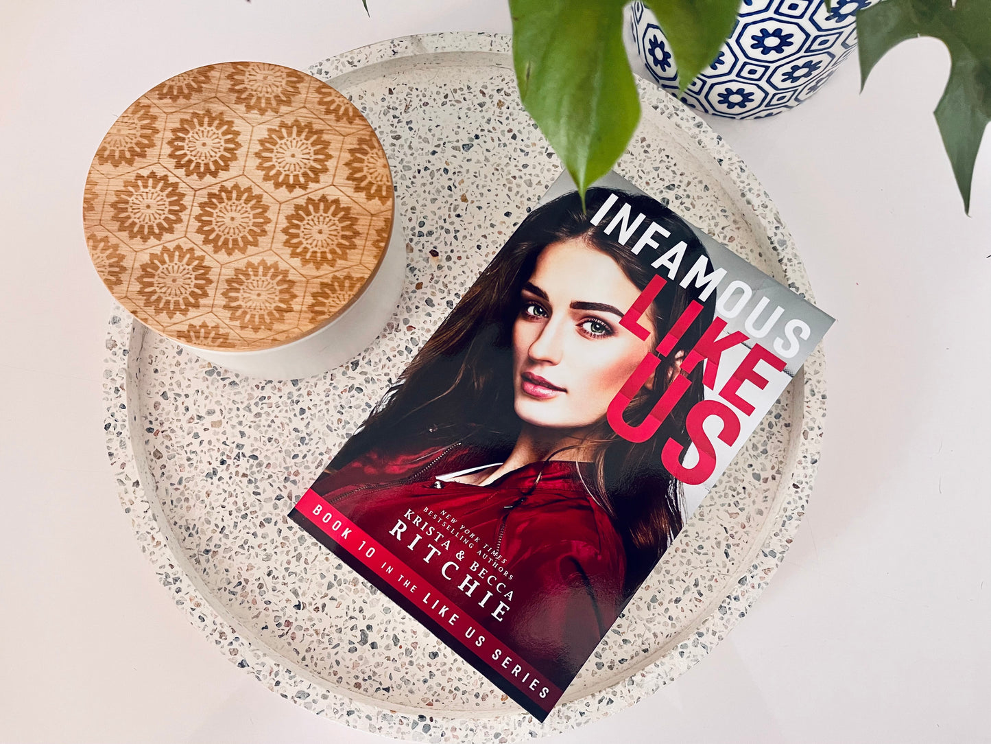 Infamous Like Us by Krista & Becca Ritchie (Like Us Series: Billionaires & Bodyguards Book 10) by