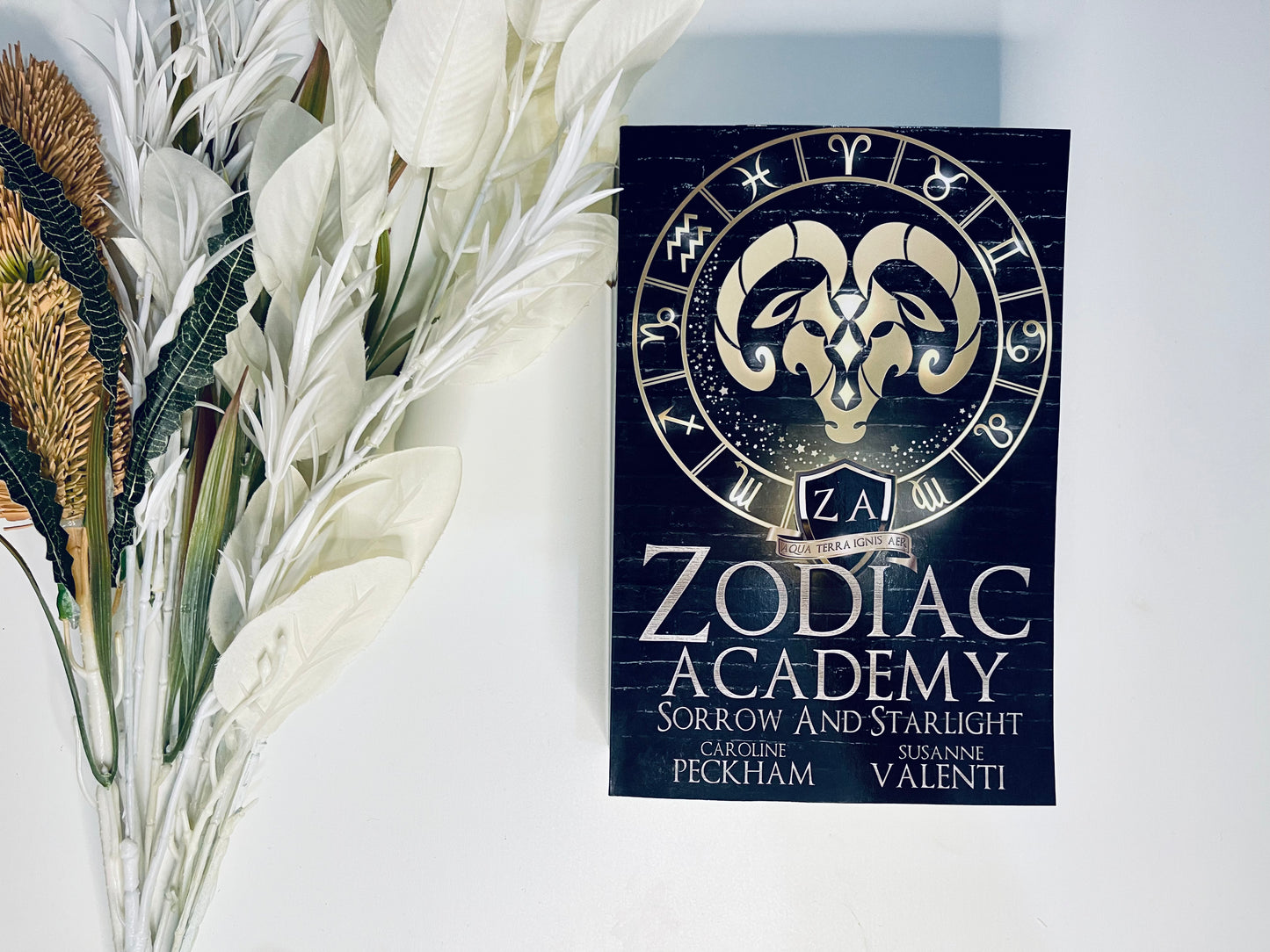 Sorrow and Starlight by Caroline Peckham & Susanne Valenti (Zodiac Academy book 8)