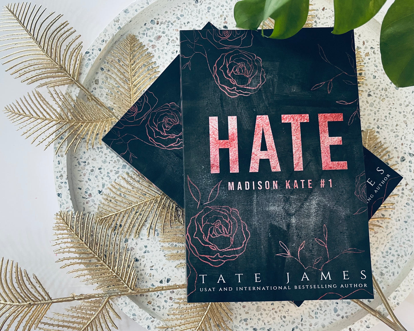Hate by Tate James (Madison Kate #1)