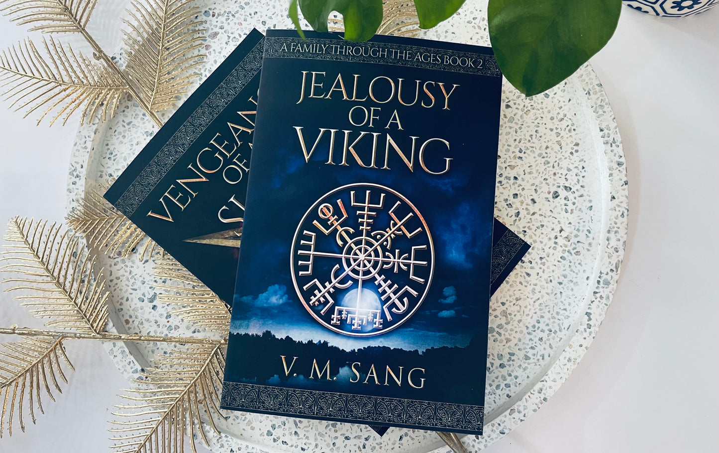 Jealousy Of A Viking by V.M. Sang (A Family Through The Ages Book 2)