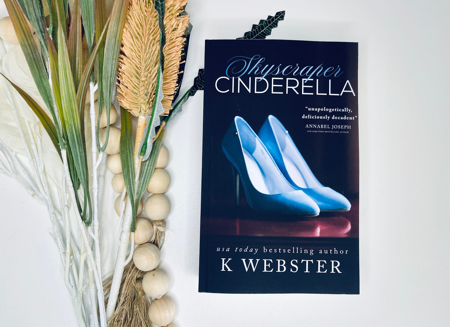 Skyscraper Cinderella by K Webster