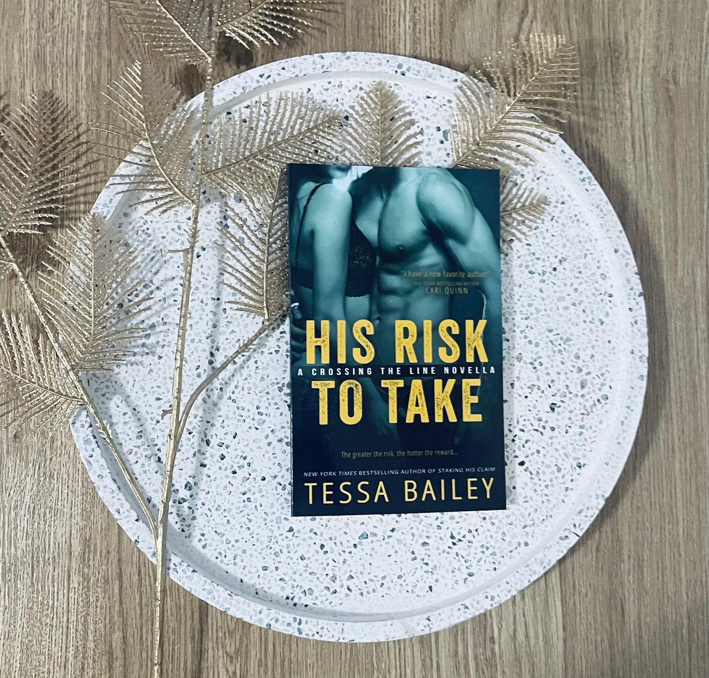 His Risk To Take by Tessa Bailey (A Crossing the Line Novella)