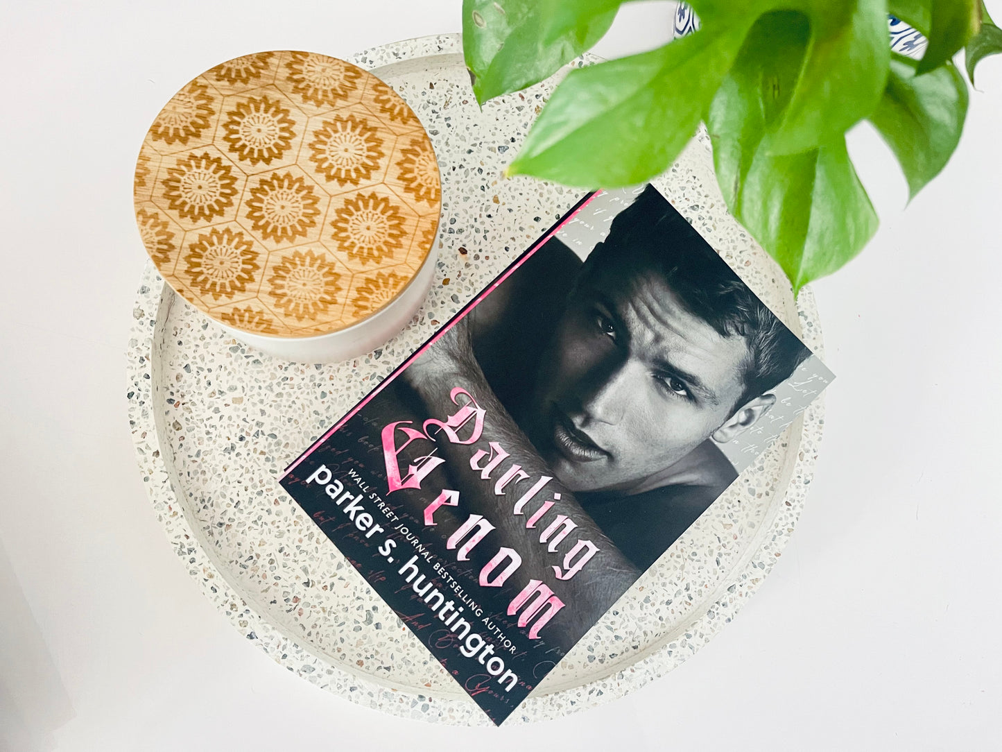 Darling Venom by Parker S. Huntington (Original Cover)