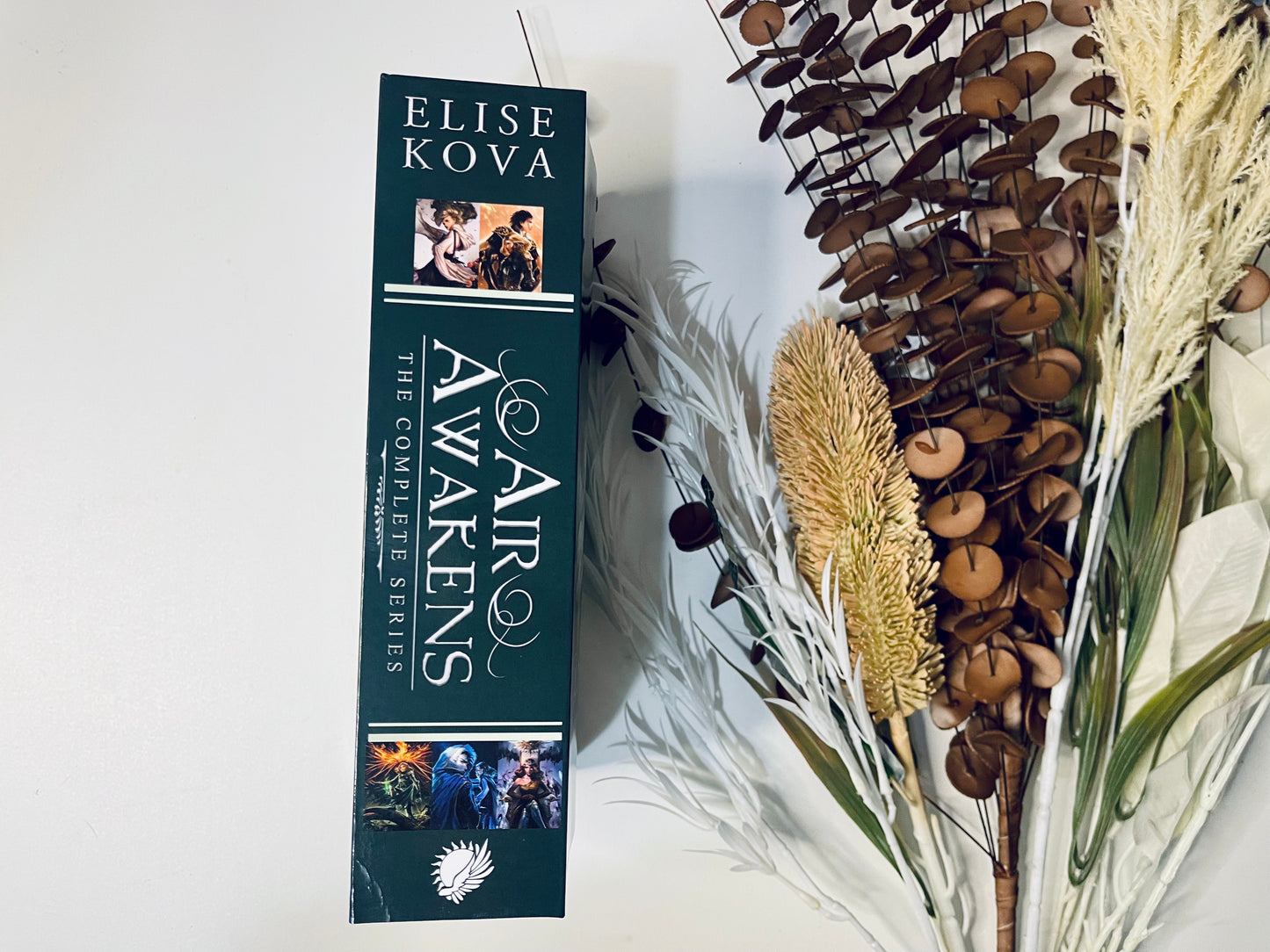 The Air Awakens Series - Complete by Elise Kova