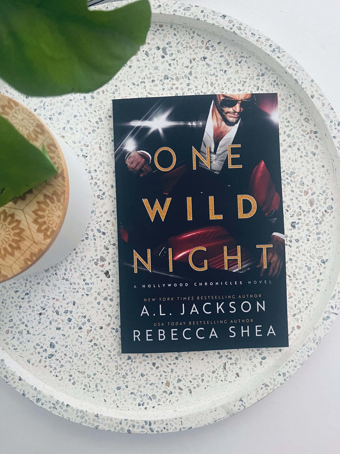 One Wild Night by A.L Jackson & Rebecca Shea