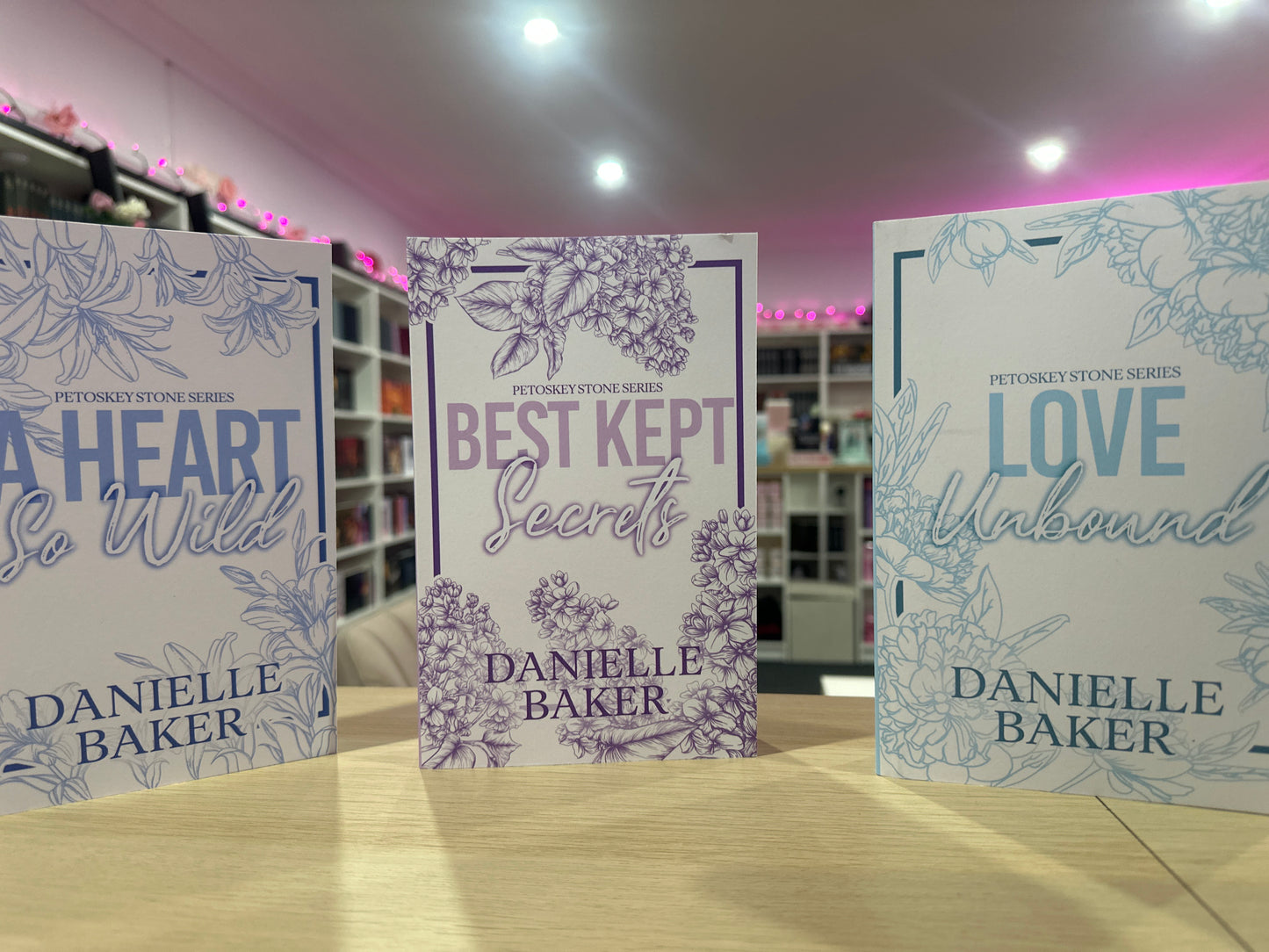 Petoskey Stone Series by Danielle Baker