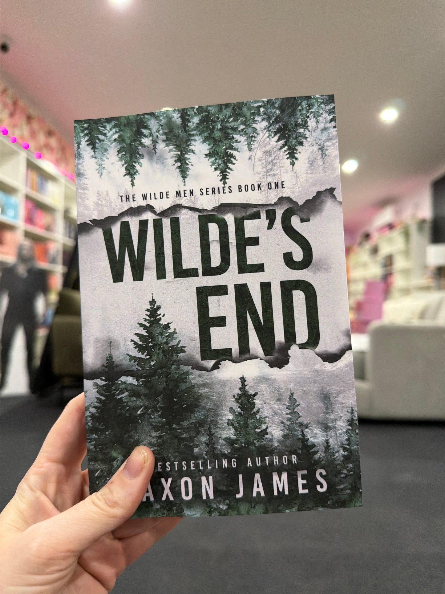 The Wilde Men series by Saxton James