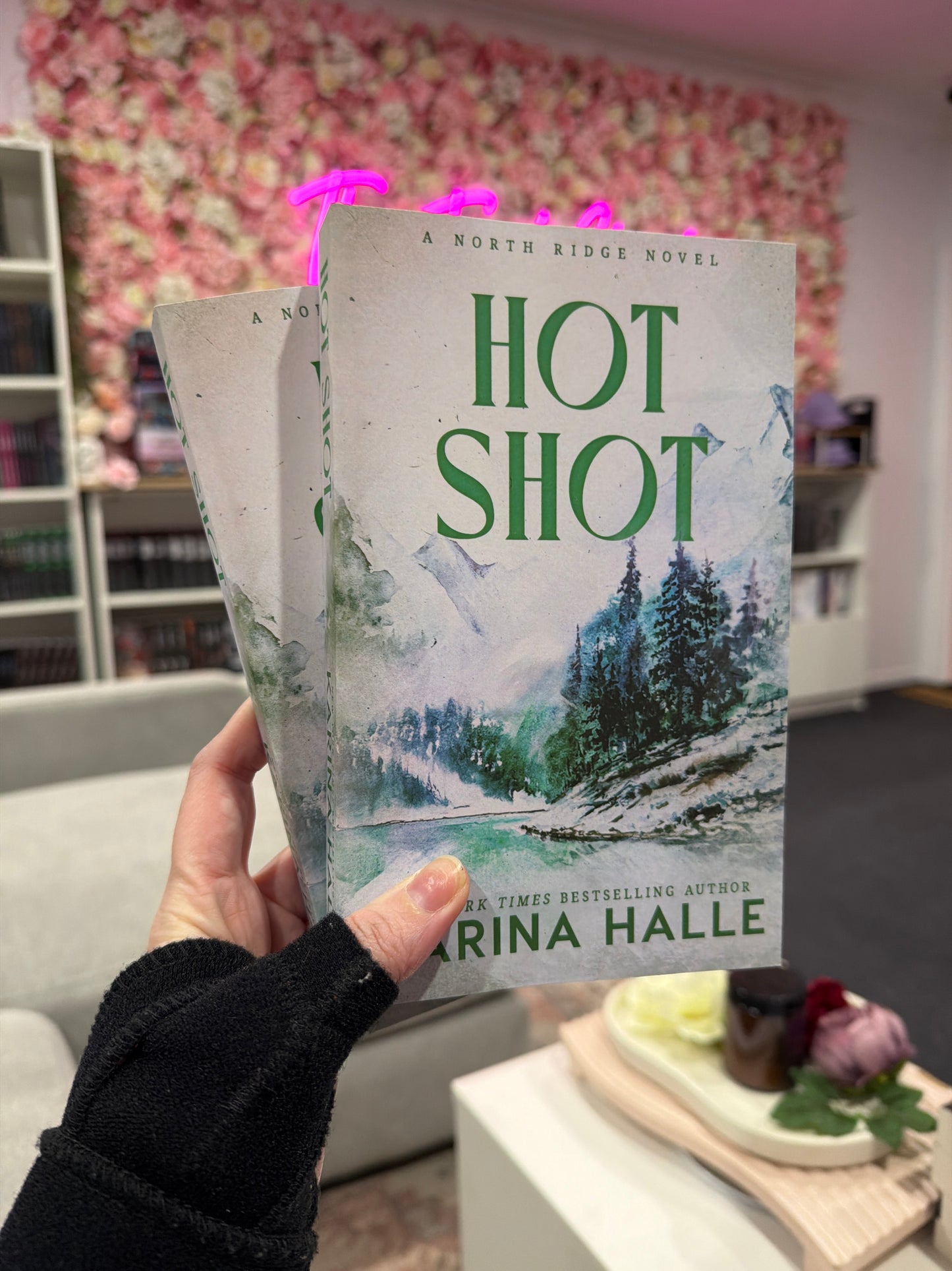 North Ridge series by Karina Halle
