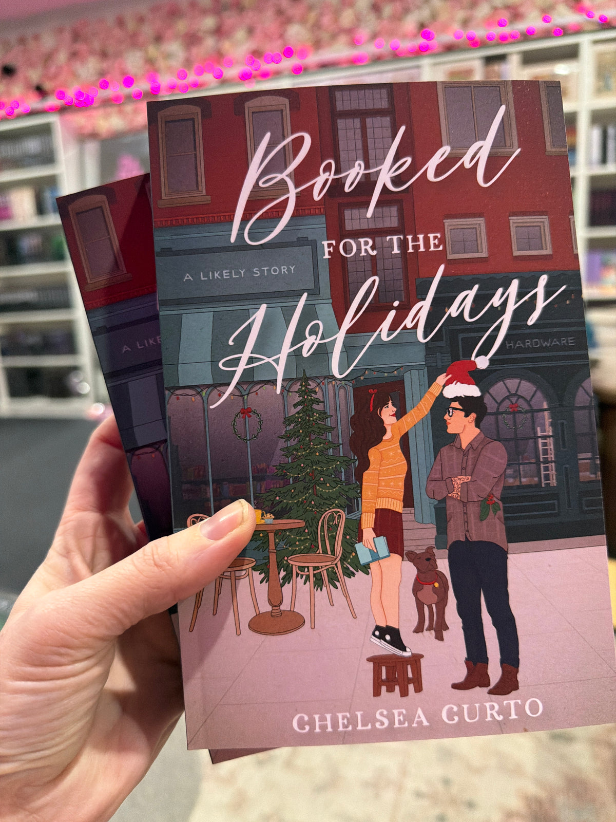 Booked for the Holidays by Chelsea Curto
