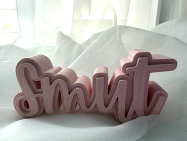Smut Shelfie - 3d printed