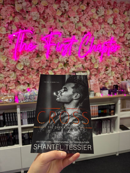 Dark kingdom series by Shantel Tessier