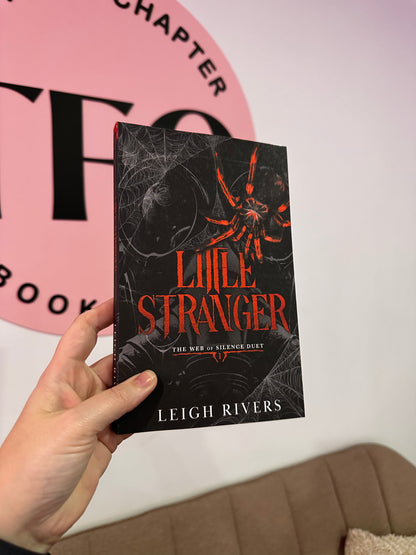 Little Stranger / Little Liar by Leigh Rivers