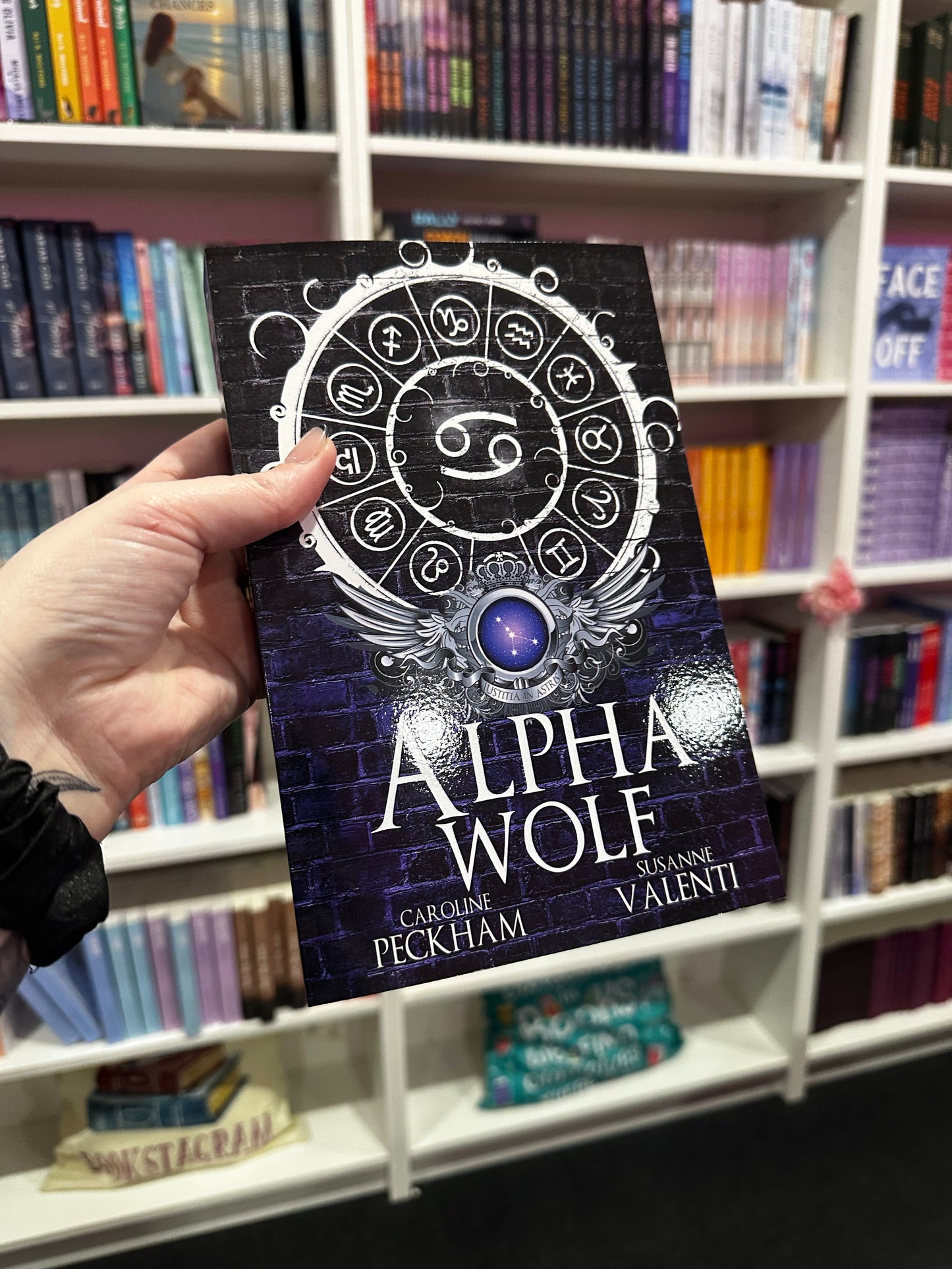 ALT COVERS - Darkmore Penitentiary series by Caroline Peckham and Suzanne Valenti