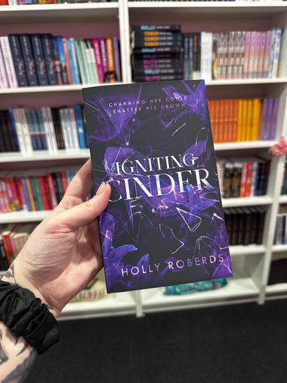 The lost girls series by Holly Robert’s