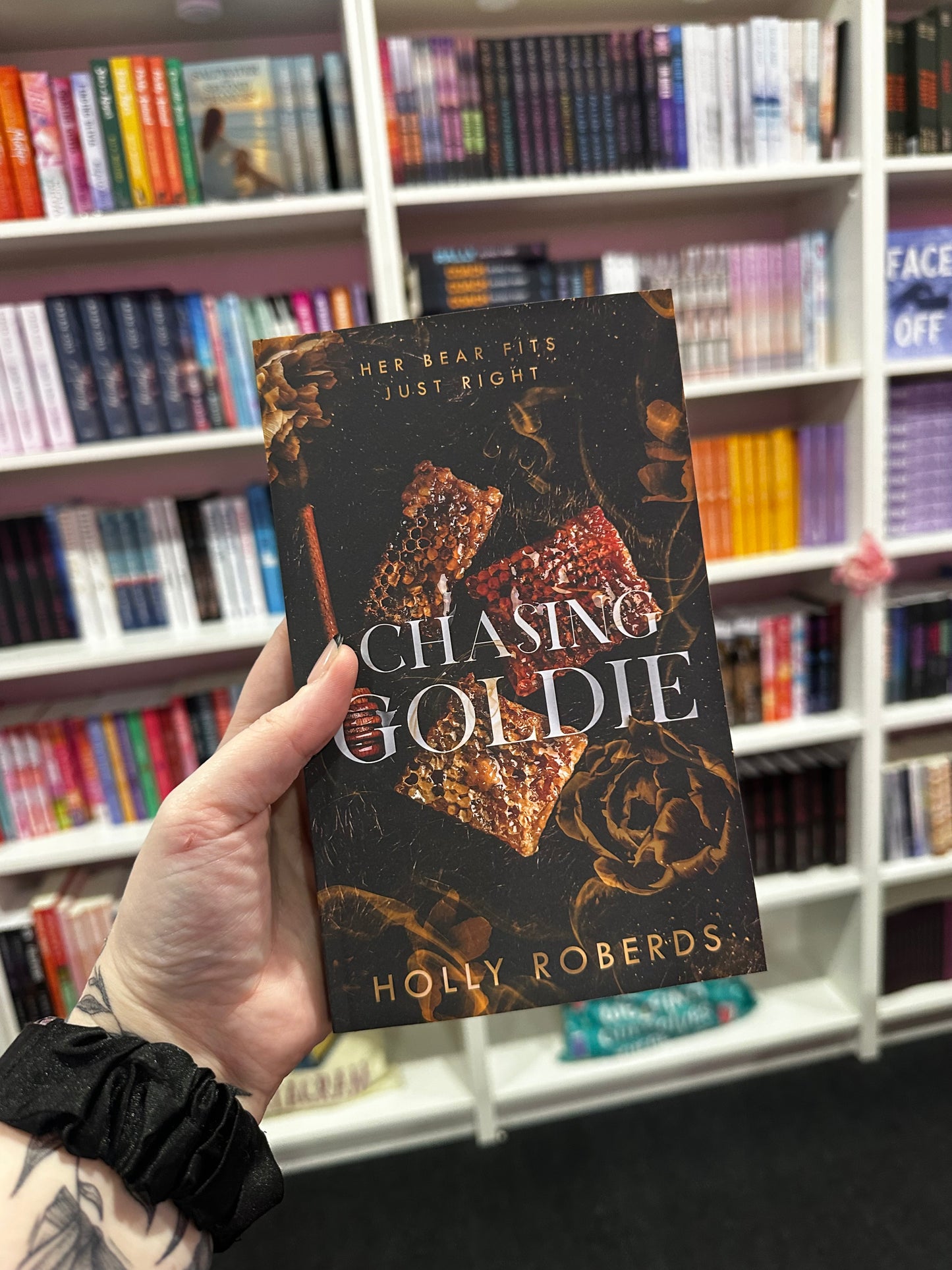 The lost girls series by Holly Robert’s