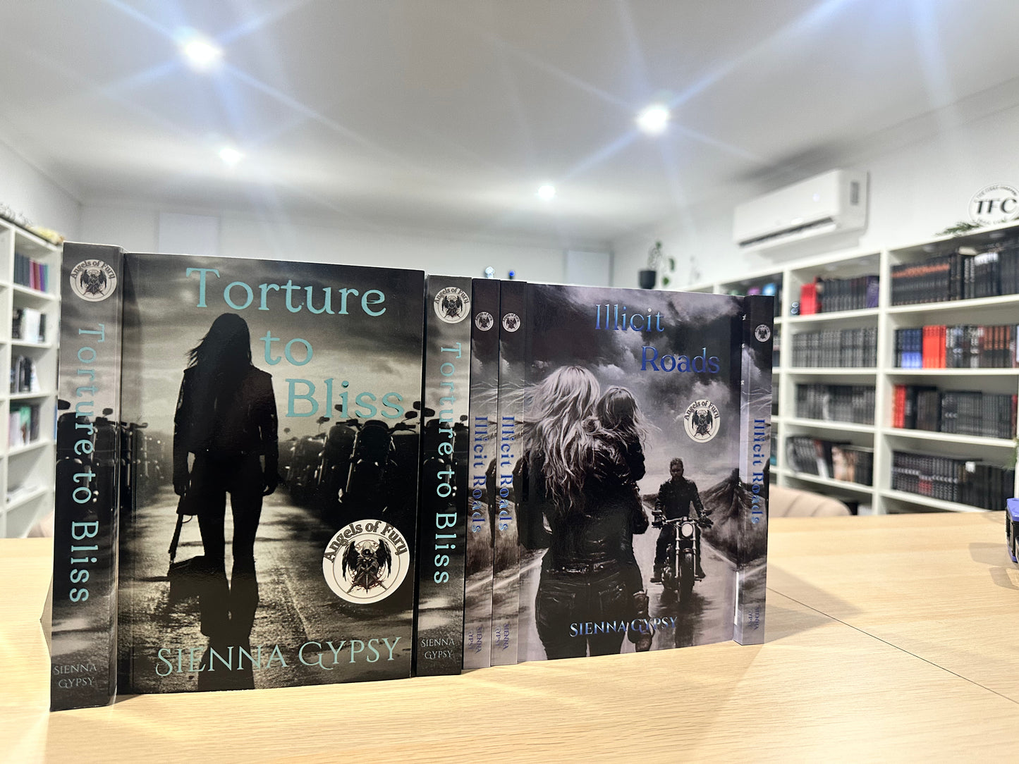 Angels of Fury series by Sienna Gypsy