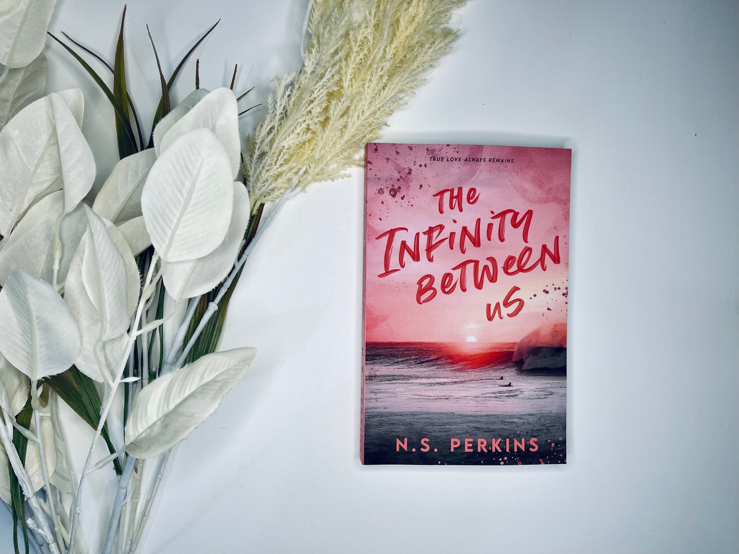 The Infinity Between Us by N.S. Perkins