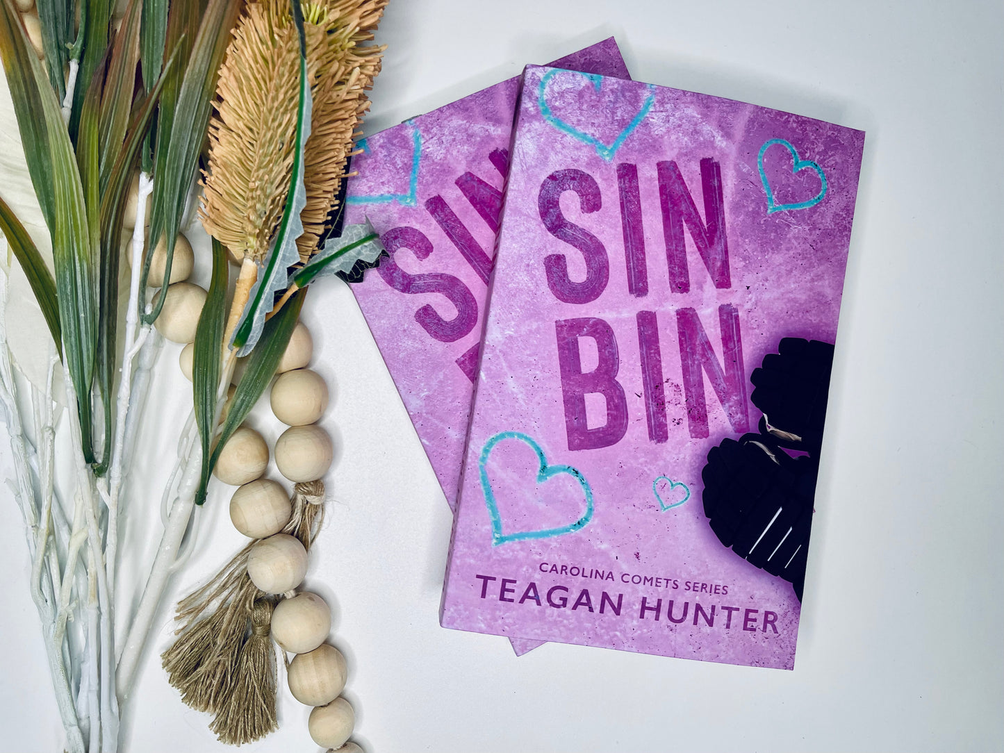 Carolina Comets series by Teagan Hunter