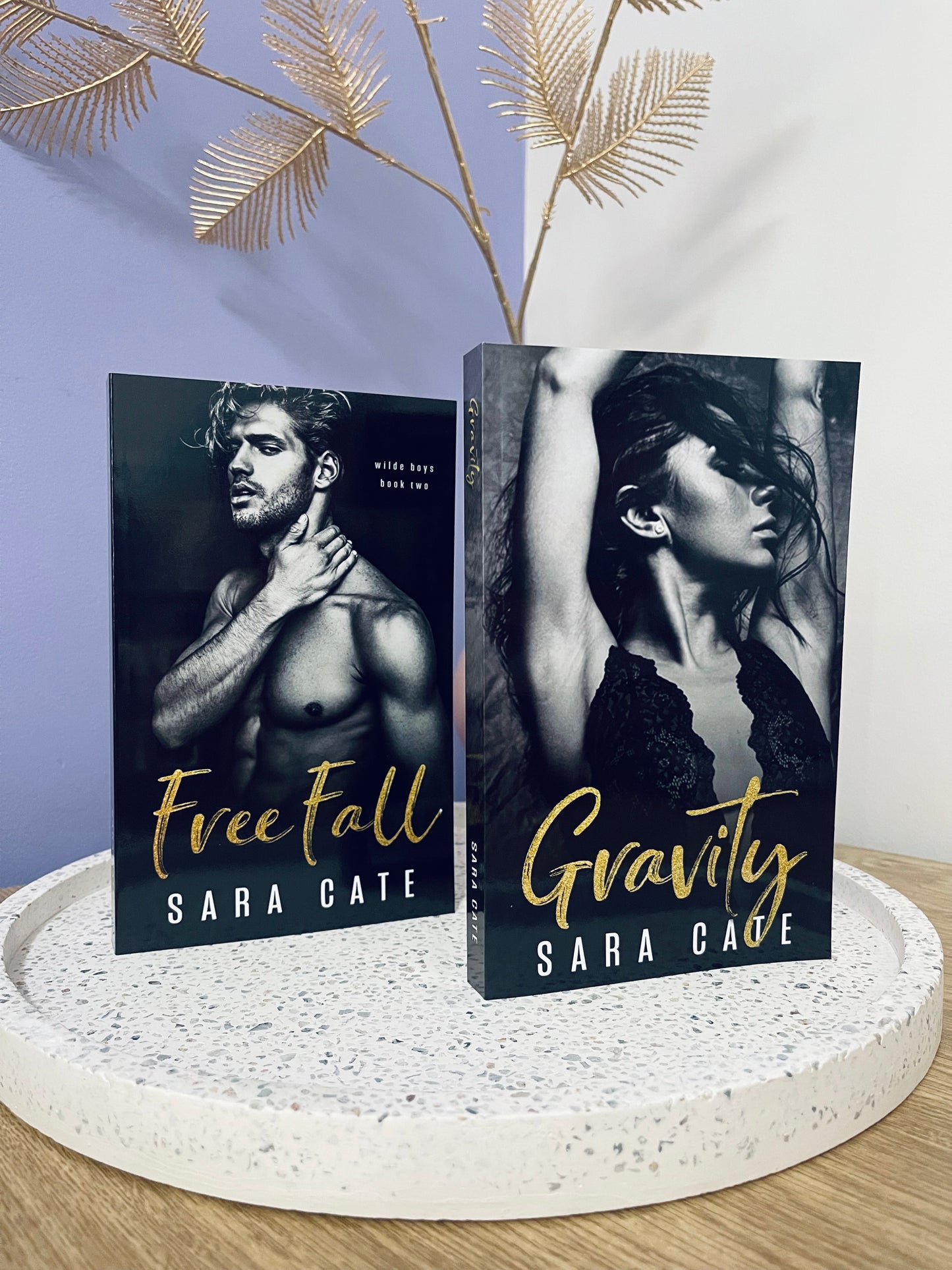 Free Fall by Sara Cate (Wilde Boys Book 2)