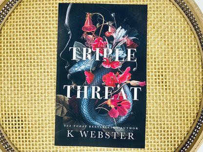 Deception Duet by K Webster